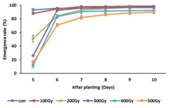 옥당종자의 파종 후 일수에 따른 양성자의 각 조사선량의 출아율. 오차막대:±SE