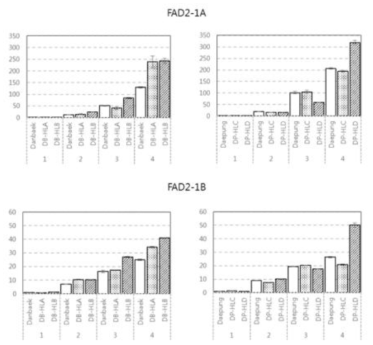 Gene expression analysis of FAD2-1A and FAD2-1B in seed development stage using qRT-PCR. Each gene expression levels were divided by developmental stage, ordered by line name and relatively normalized to the expression level of original cultivar at stage 1