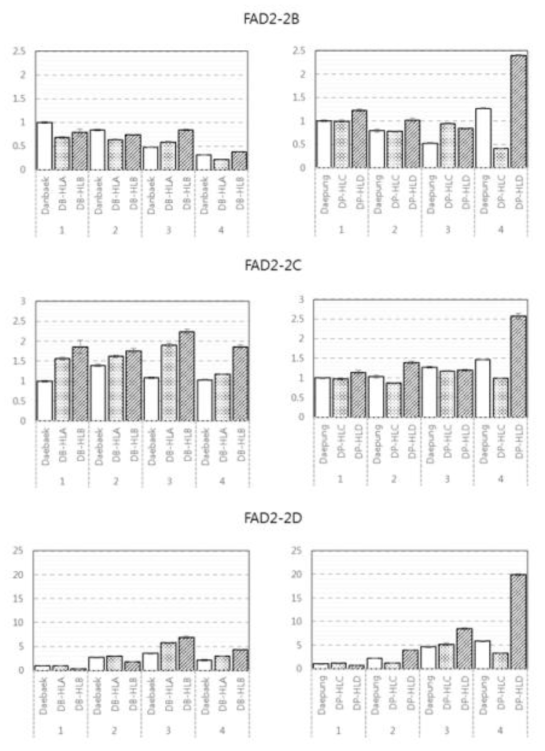 Gene expression analysis of FAD2-2B, FAD2-2C and FAD2-2D in seed development stage using qRT-PCR. Each gene expression levels were divided by developmental stage, ordered by line name and relatively normalized to the expression level of original cultivar at stage 1