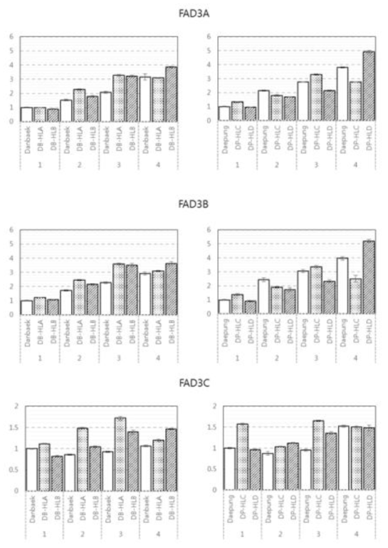 Gene expression analysis of FAD2-2B, FAD2-2C and FAD2-2D in seed development stage using qRT-PCR. Each gene expression levels were divided by developmental stage, ordered by line name and relatively normalized to the expression level of original cultivar at stage 1(continued)