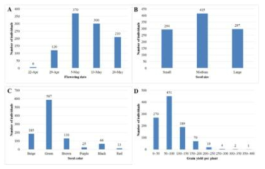 Agronomical characteristics of 1,006 individuals with spring-sown faba bean. A: flowering date, B: seed size, C: seed color, D: seed yield per plant