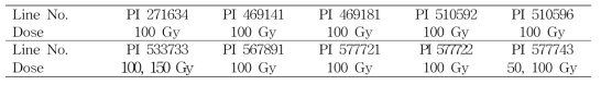 Selected 10 elite faba bean lines and optimal gamma irradiation dose