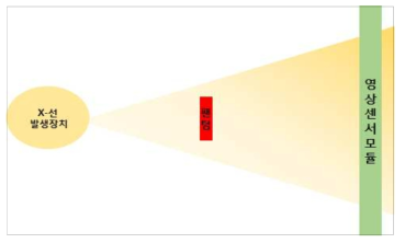 X-선을 이용한 이중에너지 X-선 측정용 영상센서 모듈 테스트 셋업