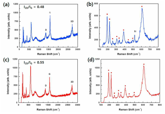 (a, b) 저압 조건에서 성장된 이산화바나듐 나노구조물의 Raman Spectroscopy 분석결과, (c, d) 대기압의 조건에서 성장된 이산화바나듐 나노구조물의 Raman Spectroscopy 분석결과