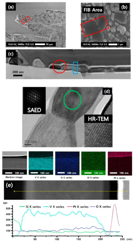 (a, b) 대기압 조건에서 성장된 이산화바나듐 나노구조물의 FE-SEM 이미지, (c) Cross-sectional SEM 이미지, (d) TEM 이미지 및 SAED 패턴과 HR-TEM 이미지, (e) energy dispersive X-ray spectroscopy mapping 이미지