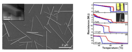 실리콘나이트라이드 기판 위에 성장된 이산화바나듐 nanobeam의 SEM 이미지(왼쪽), 이산화바나듐 나노와이어의 직경이 작아지면서 상전이 온도가 낮아지는 선행연구결과(오른쪽)