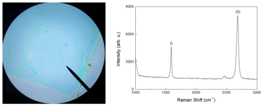 (왼쪽) Cu foil을 이용하여 합성된 단일층 그래핀을 Si 웨이퍼 위에 전사한 후의 광학현미경 이미지, (오른쪽) Raman Spectroscopy 분석 결과 I2D/IG = 2.02로 defect가 거의 없는 단일층 그래핀 나노시트로 합성되었음을 알 수 있다