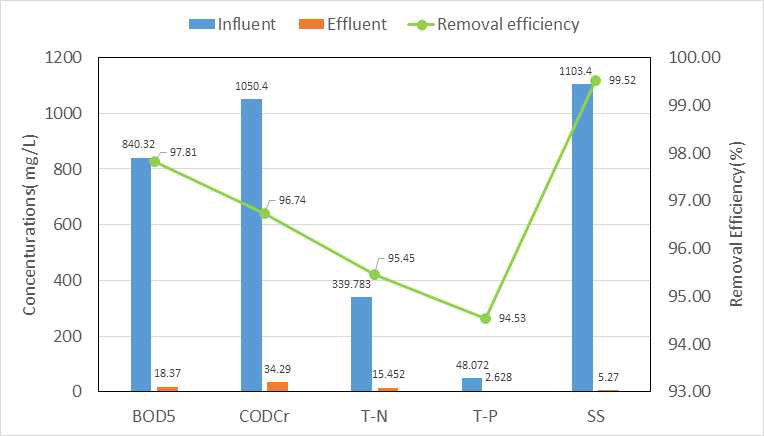 Concentrations and removal efficiency at an optimum operation condition