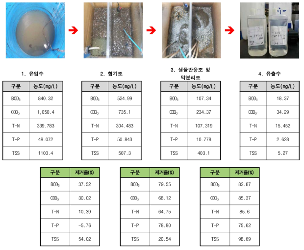 Mass balance of sewage treatment plant wastewater in bench-scale STP