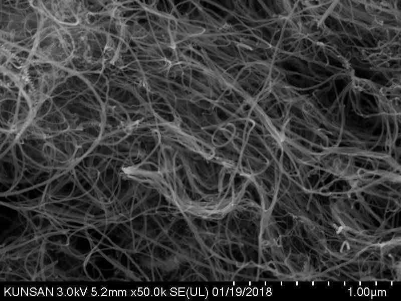 SEM image of SW-CNT dispersed in distilled water