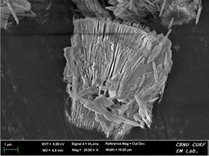 SEM image of kaolinite dispersed in distilled water