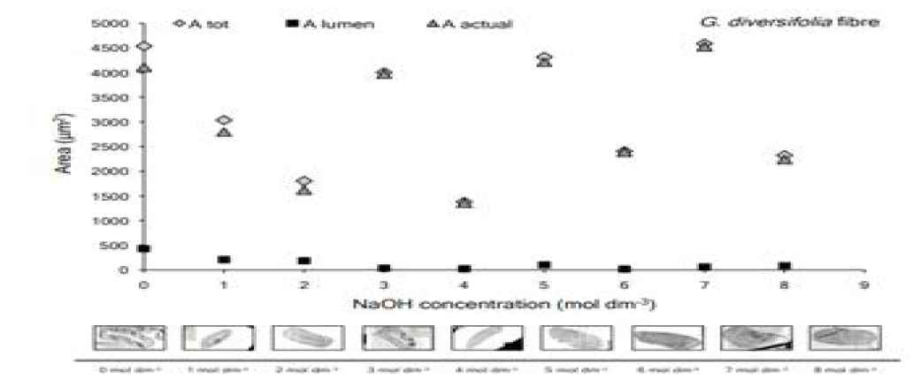 NaOH 농도에 따른 알로 섬유 단면도 넓이 실험 결과 (Lanzilao, 2015)