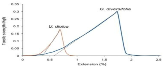 Girardinia diversifolia L. 섬유와 Urtica dioica L.섬유의 응력 및 변형률 비교 (Lanzilao, et al., 2016)