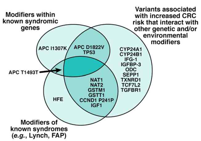 대장암의 다양한 유전자 돌연변이 (Jasperson KW et al. 2010)