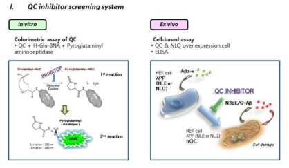 QC 저해제 in vitro/ Ex vivo 스크리닝 시스템