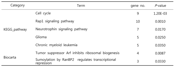 재발한 삼중음성 유방암 환자에서 발현차이를 보이는 5개의 miRNA 의 표적 유전자와 상관관계를 보이는 KEGG pathway