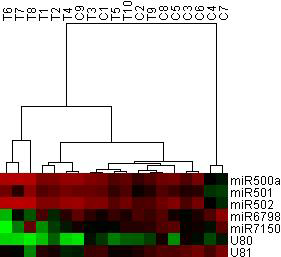 재발한 환자군 (실험군) 과 재발하지 않은 환자군 (대조군)에서 발현차이를 보이는 miRNA panel을 통한 군집분석