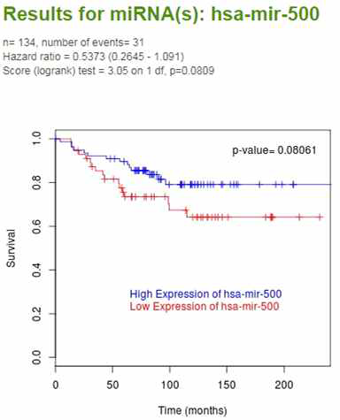삼중음성 유방암에서 miR-500a 의 발현과 OS (overall survival) 과의 상관관계