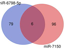 재발한 삼중음성 유방암 환자에서 발현량이 감소한 3개의 miRNA 의 예측 표적 유전자
