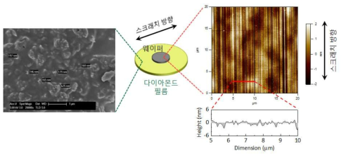 다이아몬드 입자를 갖는 필름 표면의 SEM 이미지(좌)와 이를 이용한 마찰을 통해 형성된 나노 -홈을 갖는 실리콘 산화막 표면의 AFM 이미지(우)