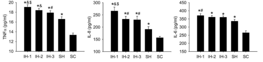 수면무호흡 마우스 모델의 혈액 내에서 관찰되는 inflammatory cytokine의 차이. 간헐적 저산소상태에서 inflammatory cytokine의 증가가 관찰된다