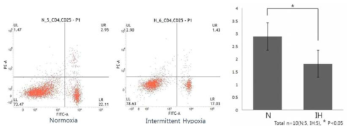 간헐적 저산소군(IH)과 정상 산소군(N)의 비장내 Treg의 비율 차이. 간헐적 저산소군에서 의미있는 Treg의 낮은 분포를 관찰하였다