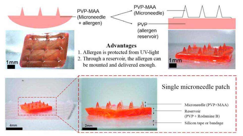 Reservoir microneedle patch는 reservoir 형성 과정에서 자외선을 제외하였으므로 알레르기 유발물질이 알러젠이 변성될 수 있는 가능성을 차단하였고 알레르기 유발에 충분한 물질을 함께 내재한다는 장점이 있다