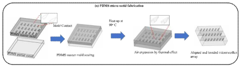 고온에서 공기의 팽창을 이용한 새로운 방식의 PDMS 몰드 제작 공정