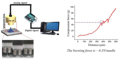 새로운 방식으로 제작된 마이크로 니들의 강도 테스트와 그 결과
