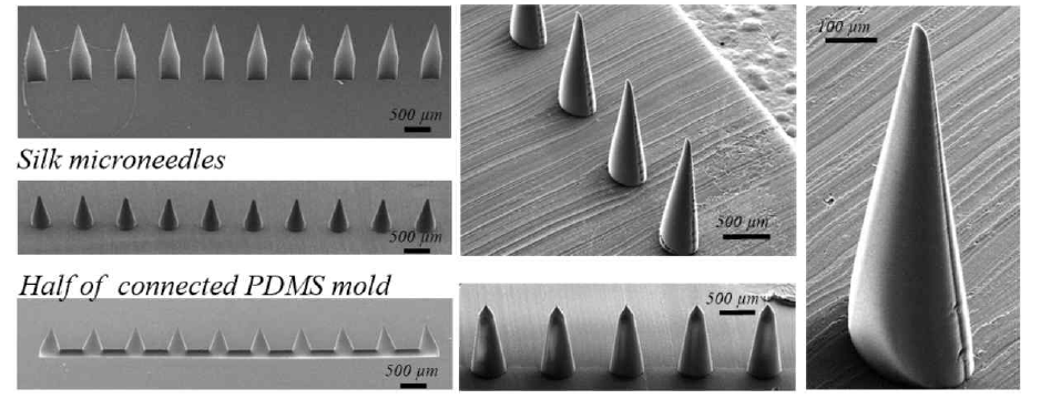 제작된 몰드와 마이크로 니들의 SEM 이미지