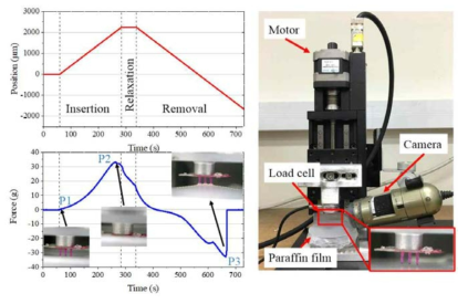 (우) 톱니형 마이크로 니들의 고정 성능을 평가하기 위한 실험 셋업 (좌) 톱니형 마이크로 니들의 위치와 힘의 변화 양상