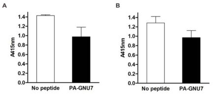 PA-GNU7에 의한 녹농균과 IFN-γ의 interaction 억제 (A) P. aeruginosa whole cell ELISA (B) recombinant OprF ELISA