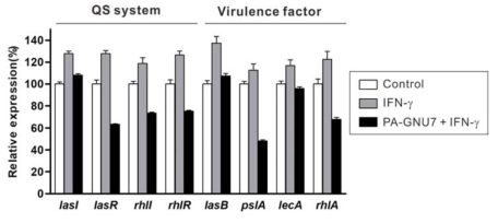 PA-GNU7에 의한 녹농균 QS system 활성화 및 virulence factor 발현 억제