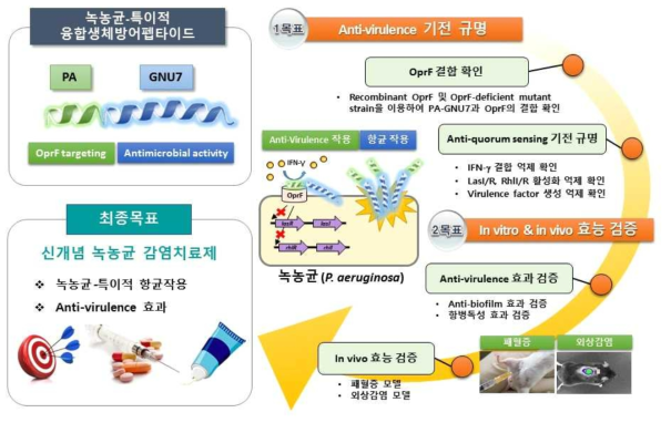 연구 요약(Graphical summary)