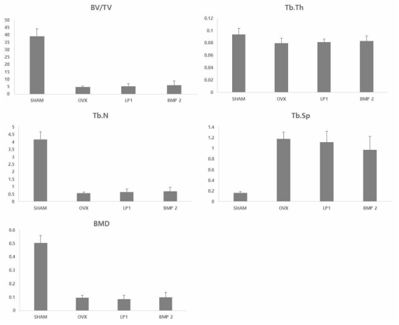 Ex vivo CT Graph