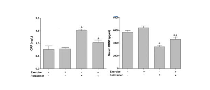 트레드밀 운동이 혈청 C-reactive protein과 BDNF 농도에 미치는 영향. *represents P < 0.05 compared to non-exercise group. #represents P < 0.05 compared to the poloxamer group