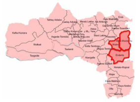 티그레이 지역 내 도시와 농경지 (Enderta, Wukro, Atsoi-Wenberta)