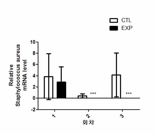 S. aureus 균주 real-time PCR 정량분석 결과