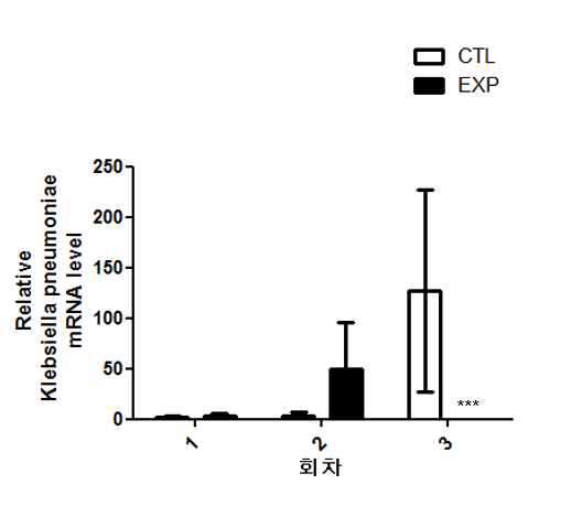 K. pneumoniae 균주 real-time PCR 정량분석 결과