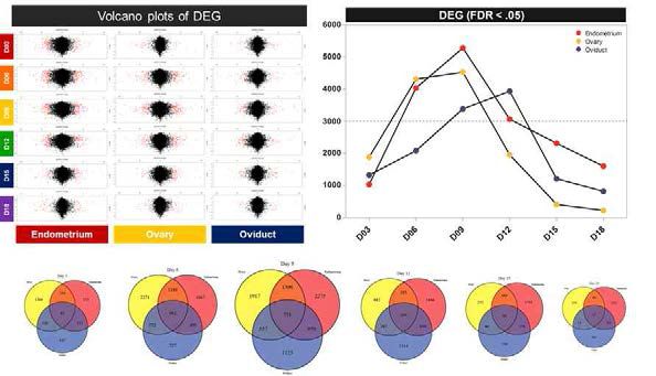 Overview of Integrated DEG transcriptome