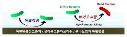 아민반응성고분자/실리콘고분자브러쉬/은나노입자 복합필름의 바이오물질 비흡착성 및 바이오시달 효과를 바탕으로 한 안티바이오파울링