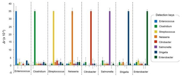 새롭게 디자인 된 병원균 검출 프로브의 검증. 각각의 검출 프로브 (detection keys)에 상응하는 병원균이 존재하는 경우에만 높은 fluorescence anisotropy 값이 생성됨을 확인