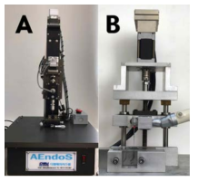 각 파일의 파절 저항성 측정을 위한 기구 (AEndoS). (A) 비틀림 파절 저항을 측정하기 위한 장치 (B) 피로파절 저항을 측정하기 위한 장치