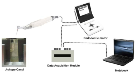 in-situ torque 측정을 위한 실험 모식도. 근관 성형시 endodontic motor에 발생하는 torque값이 data acquisition module을 통하여 자동으로 저장되었다