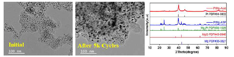 PtxMg/C 기반의 촉매가 담지된 탄소 구조체의 TEM 이미지 및 5000 사이클 후의 촉매 구조 변화 및 촉매의 XRD 분석 결과
