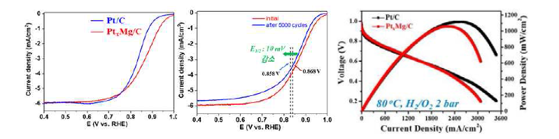 PtxMg/C 기반의 촉매가 담지된 탄소 구조체의 산소환원반응 활성도 및 실제 연료전지 구동시 활성을 보여주는 single cell 분석 결과