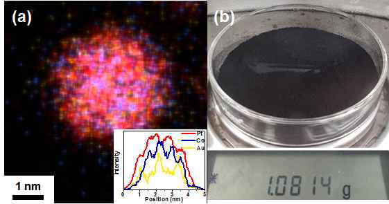 내구성 향상을 위한 표면에 금 도핑된 백금-코발트 촉매의 TEM, EDS-mapping, one-pot에서 합성 가능한 촉매
