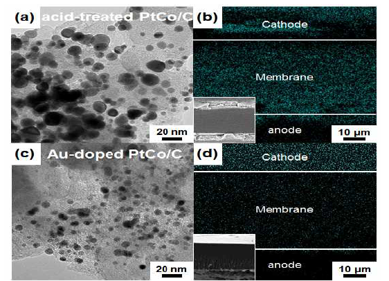 30,000 사이클의 내구성 테스트 후 (a, c) 촉매의 모양 변화, (b, d) 전이금속 용출로 인한 멤브레인 오염 확인