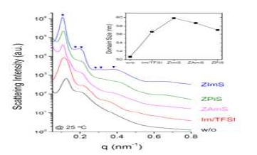 이온첨가제를 넣은 전해질의 small angle-XRD scattering profile