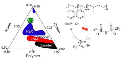 이온성 액체의 양이온과 음이온 그리고 고분자의 부피분율로 나타낸 phase diagram